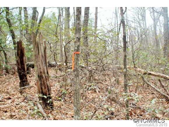 Piney Mountain - Land