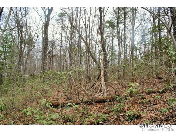 Piney Mountain - Land