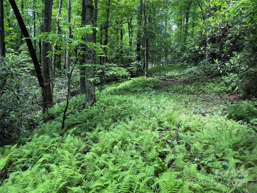 Build your dream home on this private, wooded lot in the peaceful Middlemount Subdivision, where mountain beauty meets a true sense of community. With just 31 homesites, neighbors here know and support one another, creating a rare feeling of connection and belonging. Surrounded by native rhododendron and the soothing sounds of nature, this homesite offers stunning potential in a serene, natural setting. Enjoy paved roads, underground utilities, and high-speed internet, all just minutes from the charm, dining, and culture of downtown Brevard. Whether you're seeking peace and quiet, outdoor adventure, or a place to feel truly at home, this is your chance to have it all. Located at the corner of Rockledge and Caroline Lanes, this property offers the ideal blend of privacy and convenience. Experience the magic of Middlemount, where life slows down, nature surrounds you, and community means something more.