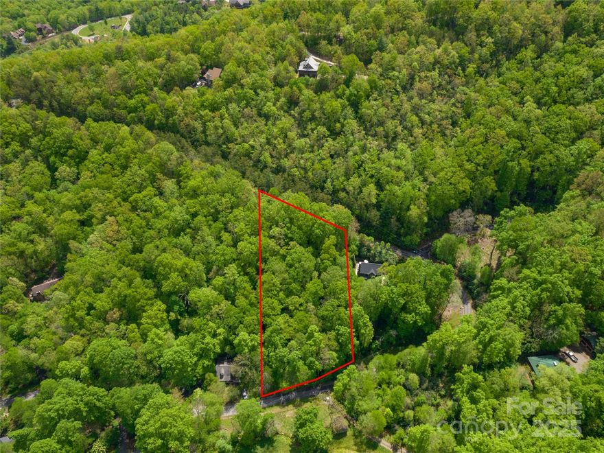 This exceptional lot ticks all the boxes! Nestled in the sought-after Lynch Cove community, this picturesque building site offers a perfect canvas for your dream mountain home. Immerse yourself in nature among the rhododendron and mountain laurel, while enjoying the soothing sounds of the nearby mossy creek. Paved roads provide direct, easy access to the property. The lot's slope promises stunning views once some trees are cleared. Lynch Cove is a charming neighborhood just minutes from the historic downtown of Black Mountain and a quick 18-minute drive to downtown Asheville. You'll also find convenient access to grocery stores and I-40. Don't miss this opportunity!