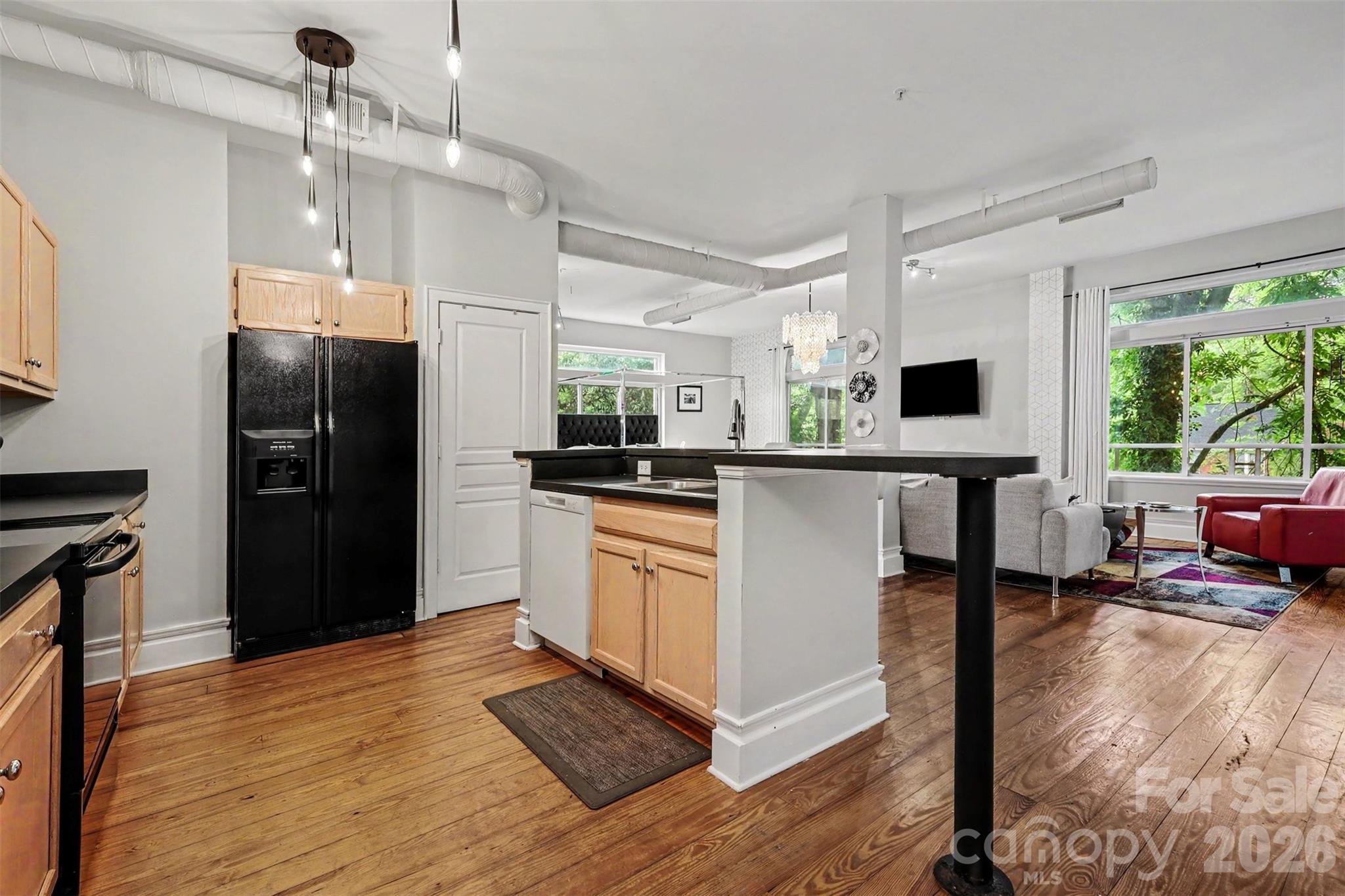 Elizabeth Lofts - Residential