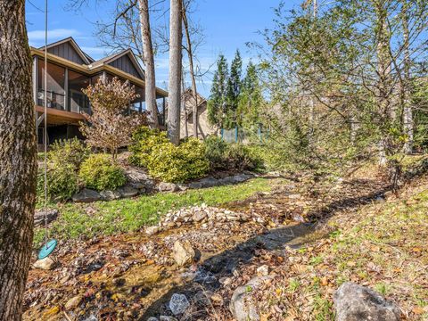 A home in Lake Lure