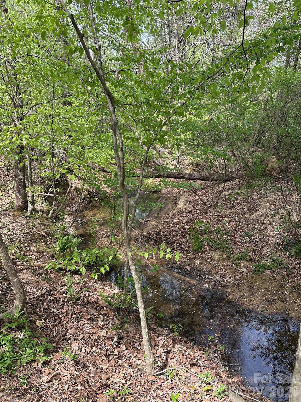 0 Will Boone Road