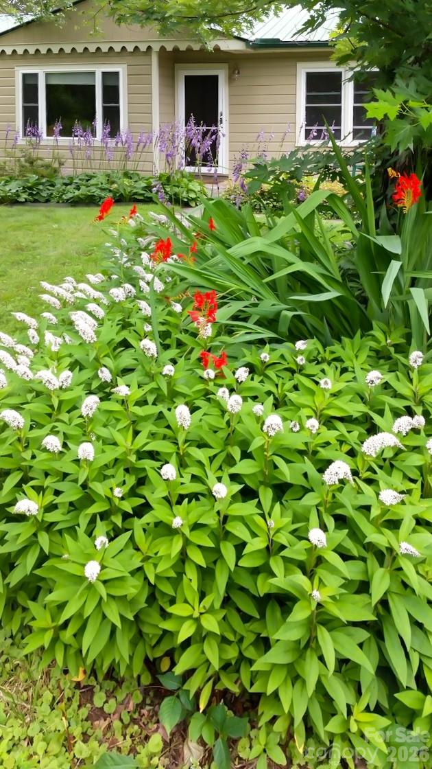 Haw Creek - Residential Income