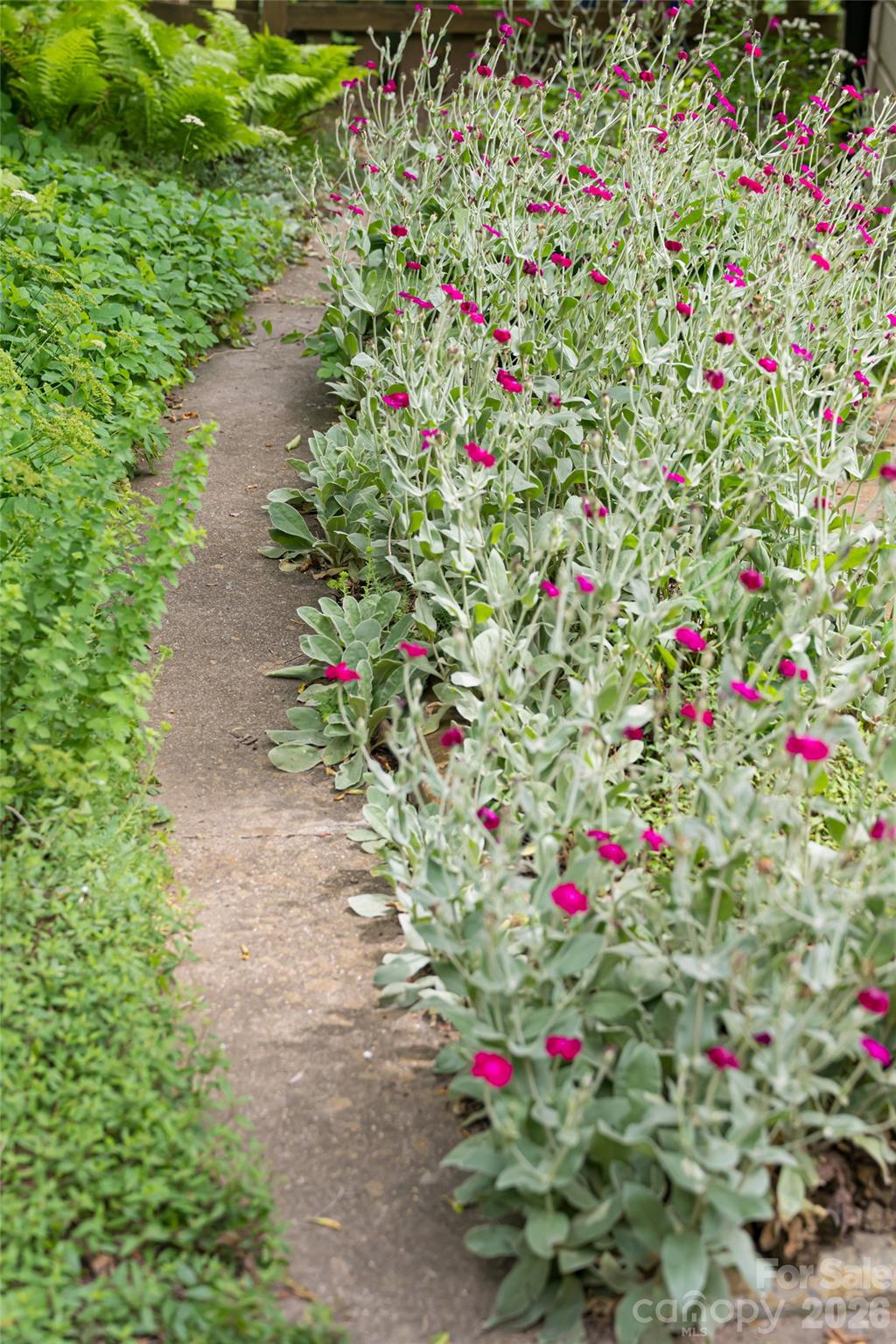 Haw Creek - Residential Income