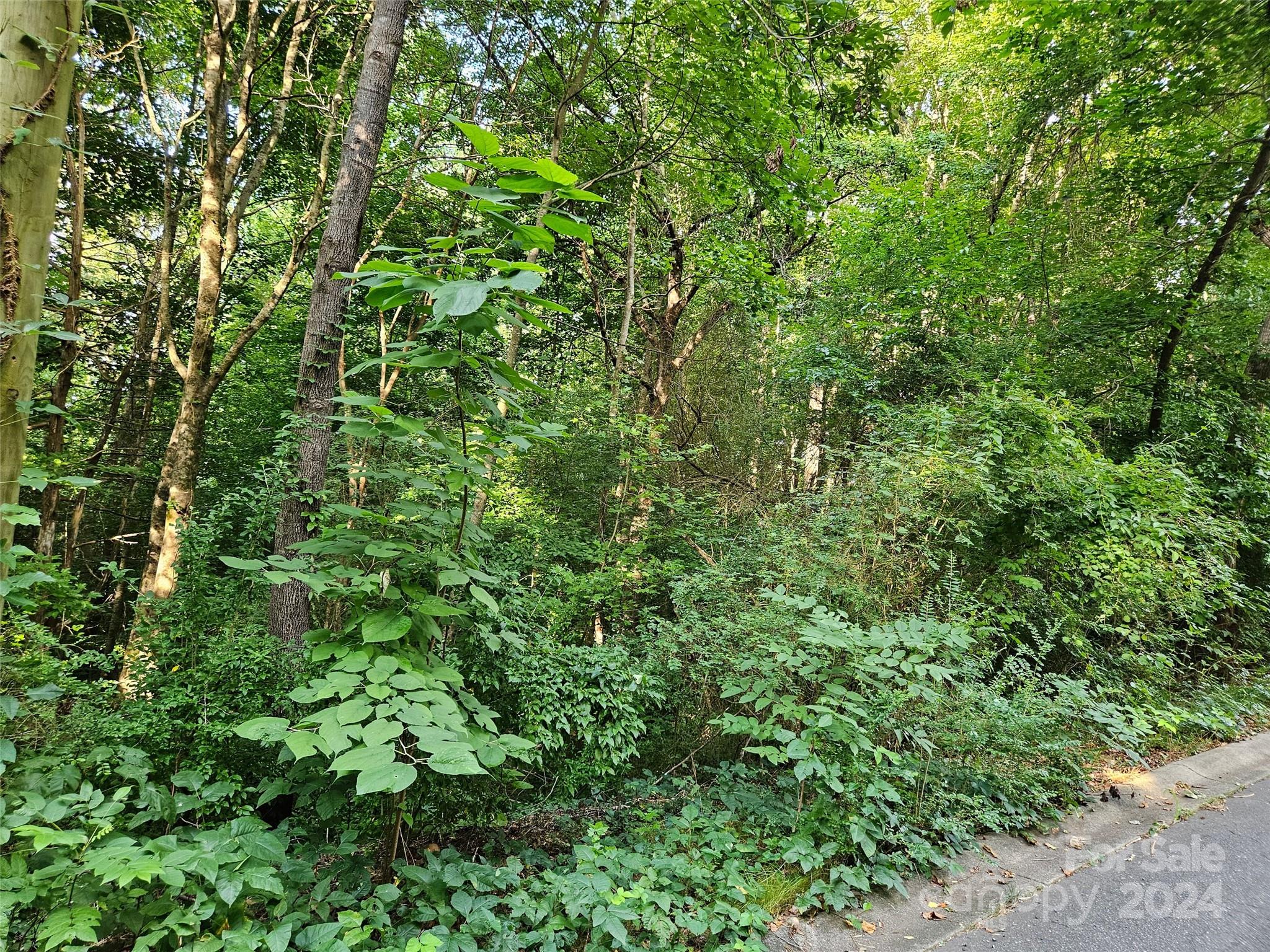 Rutherford Towne - Land