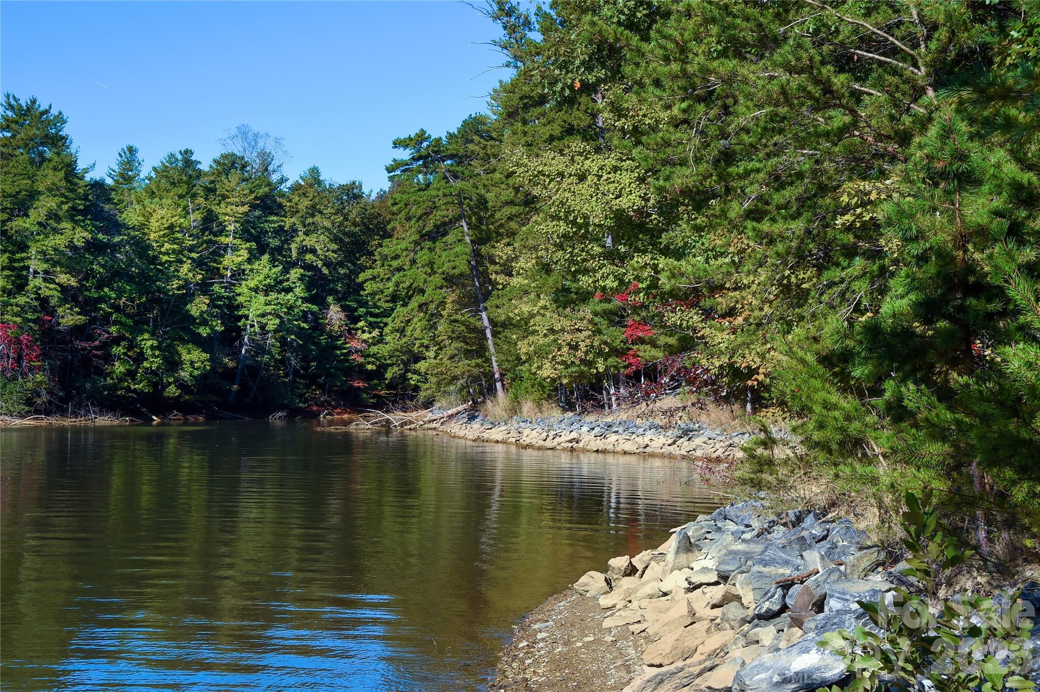 Old Wildlife Club - Land