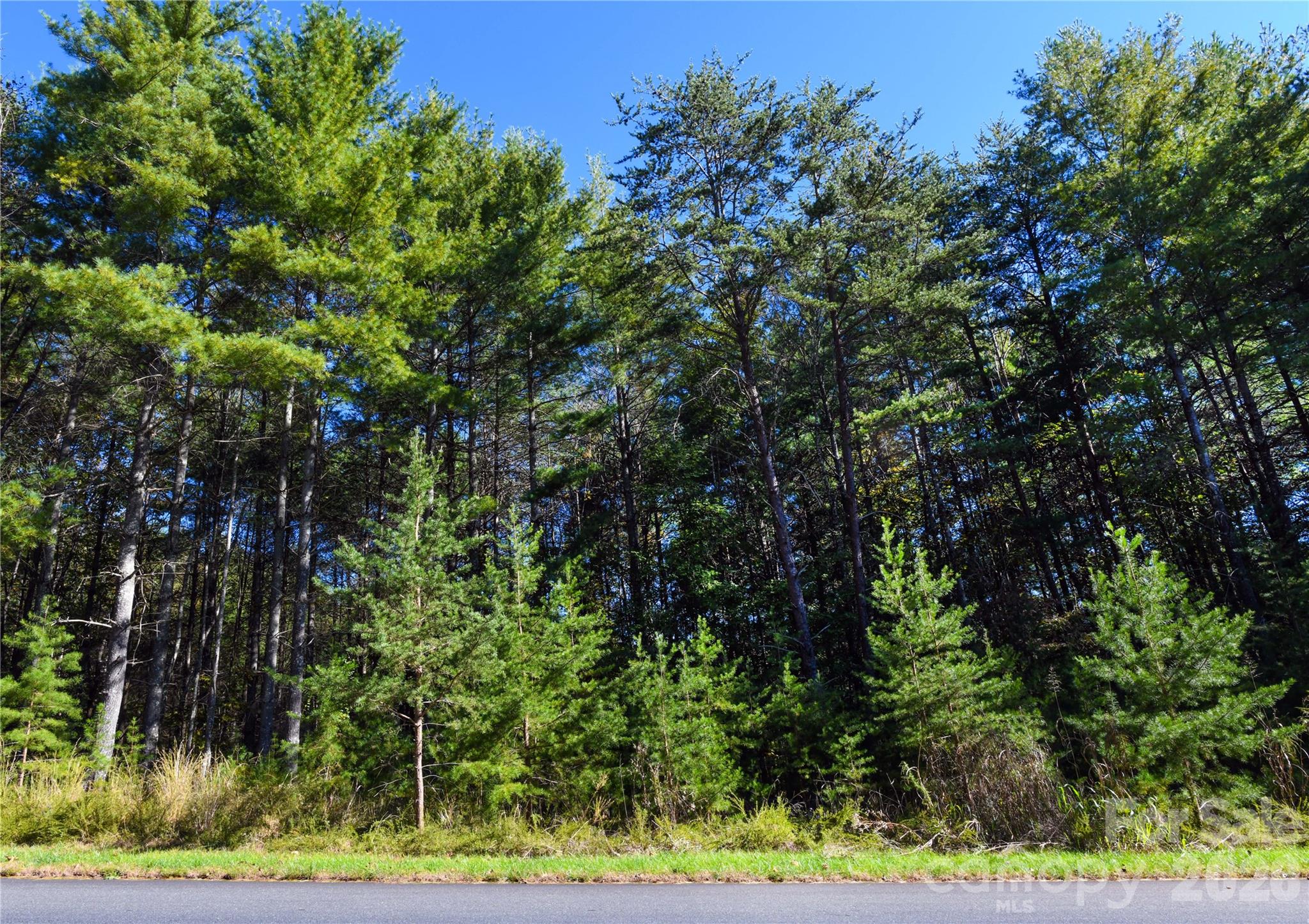 Old Wildlife Club - Land