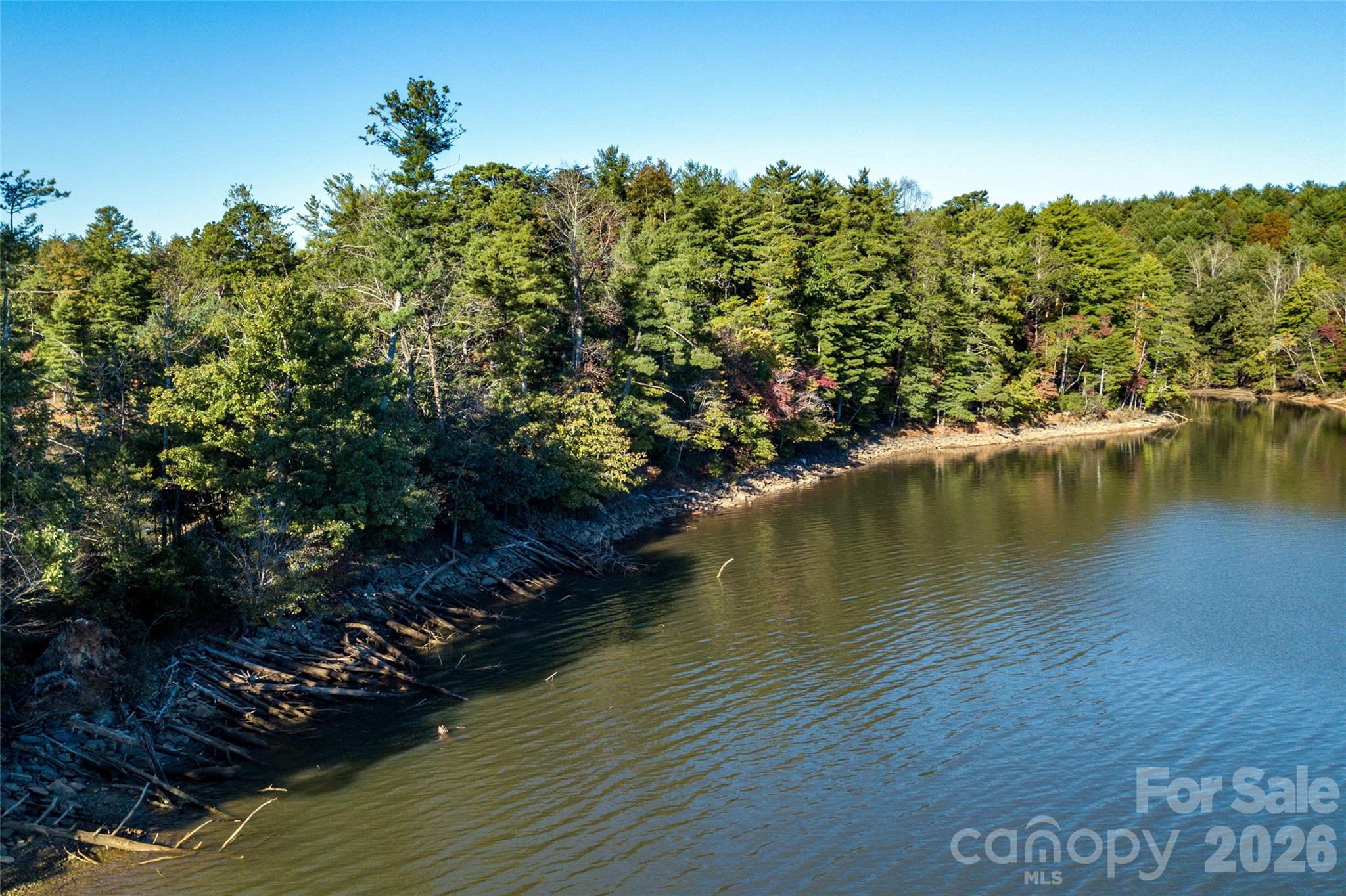 Old Wildlife Club - Land