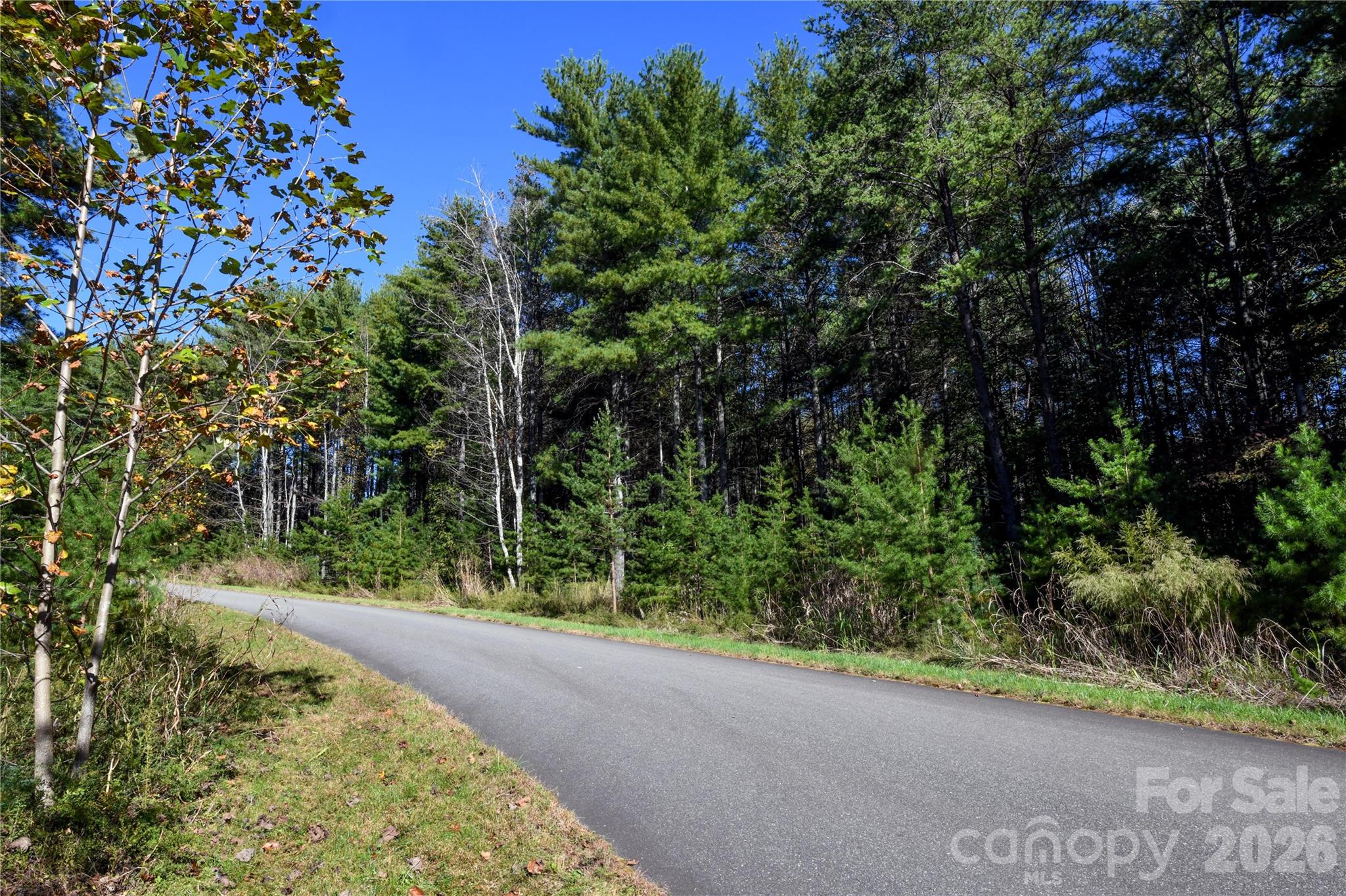 Old Wildlife Club - Land