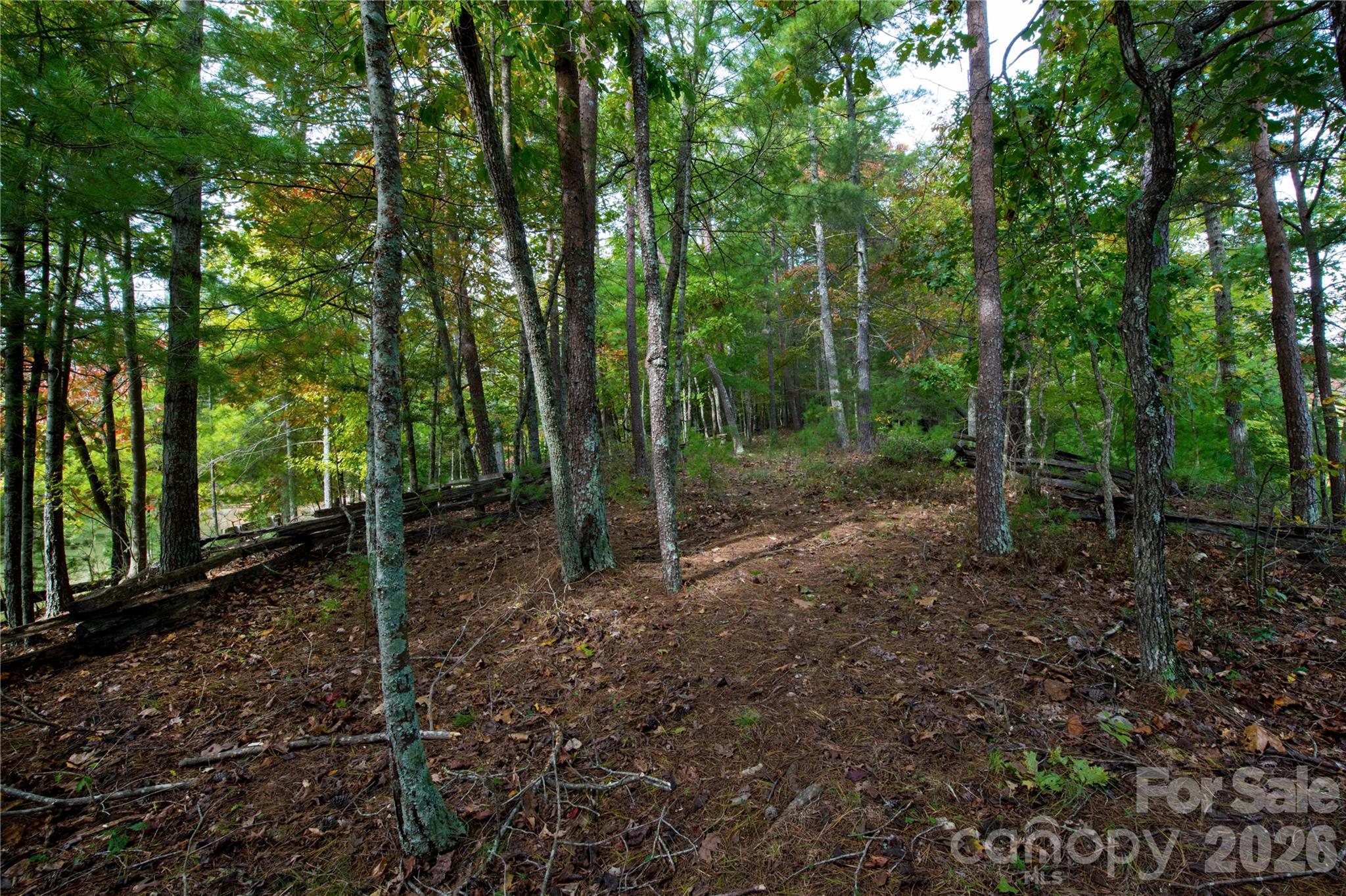 Old Wildlife Club - Land