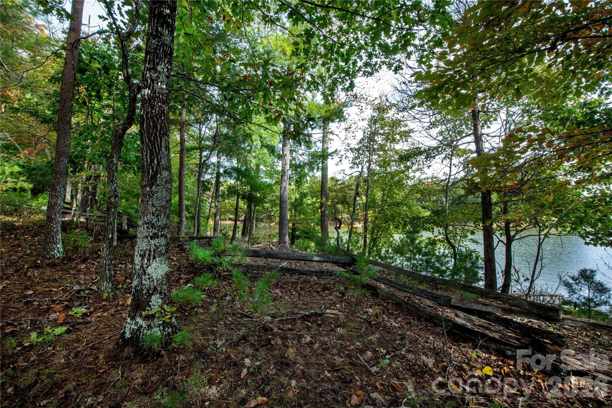 Old Wildlife Club - Land