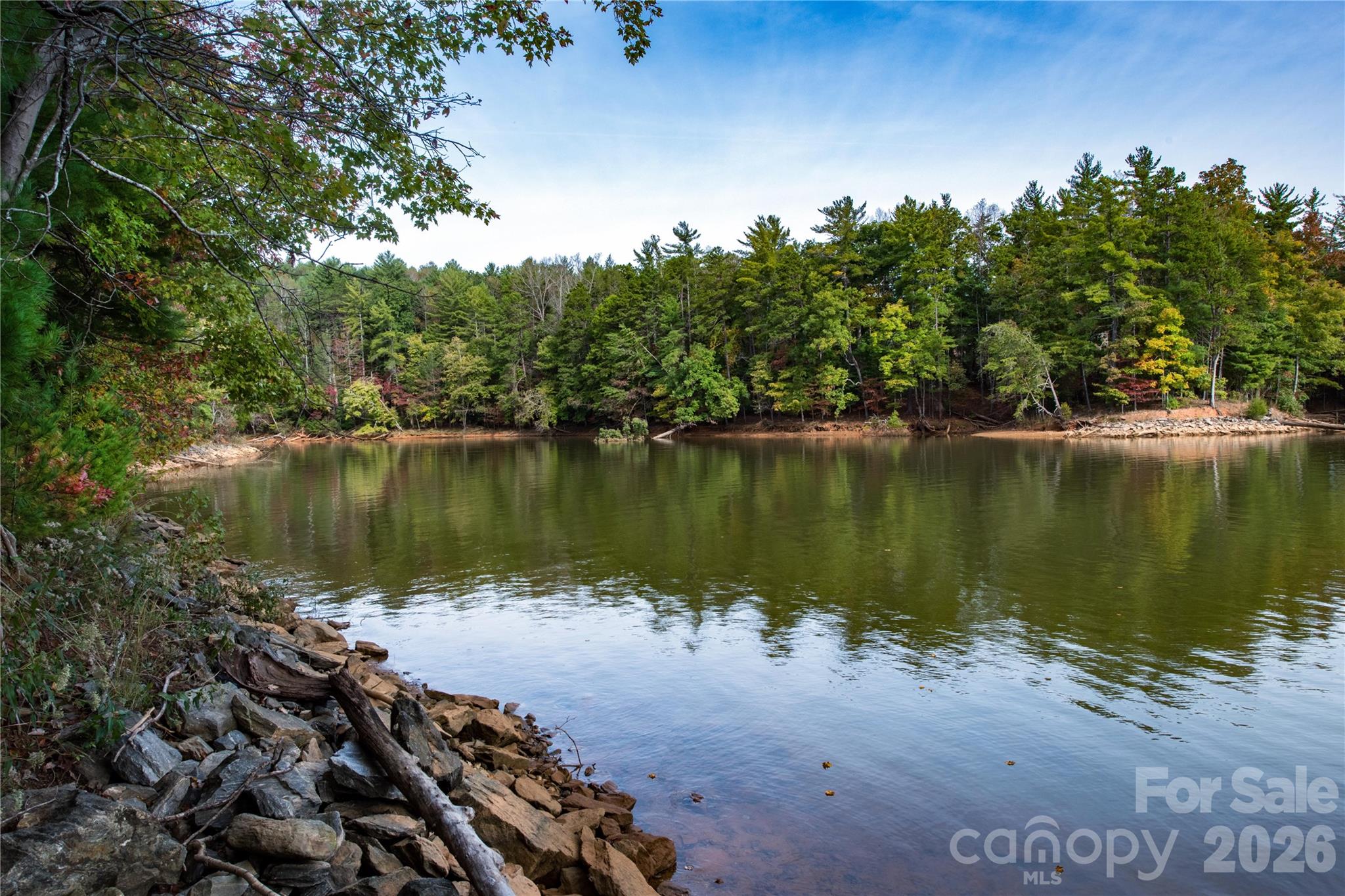 Old Wildlife Club - Land