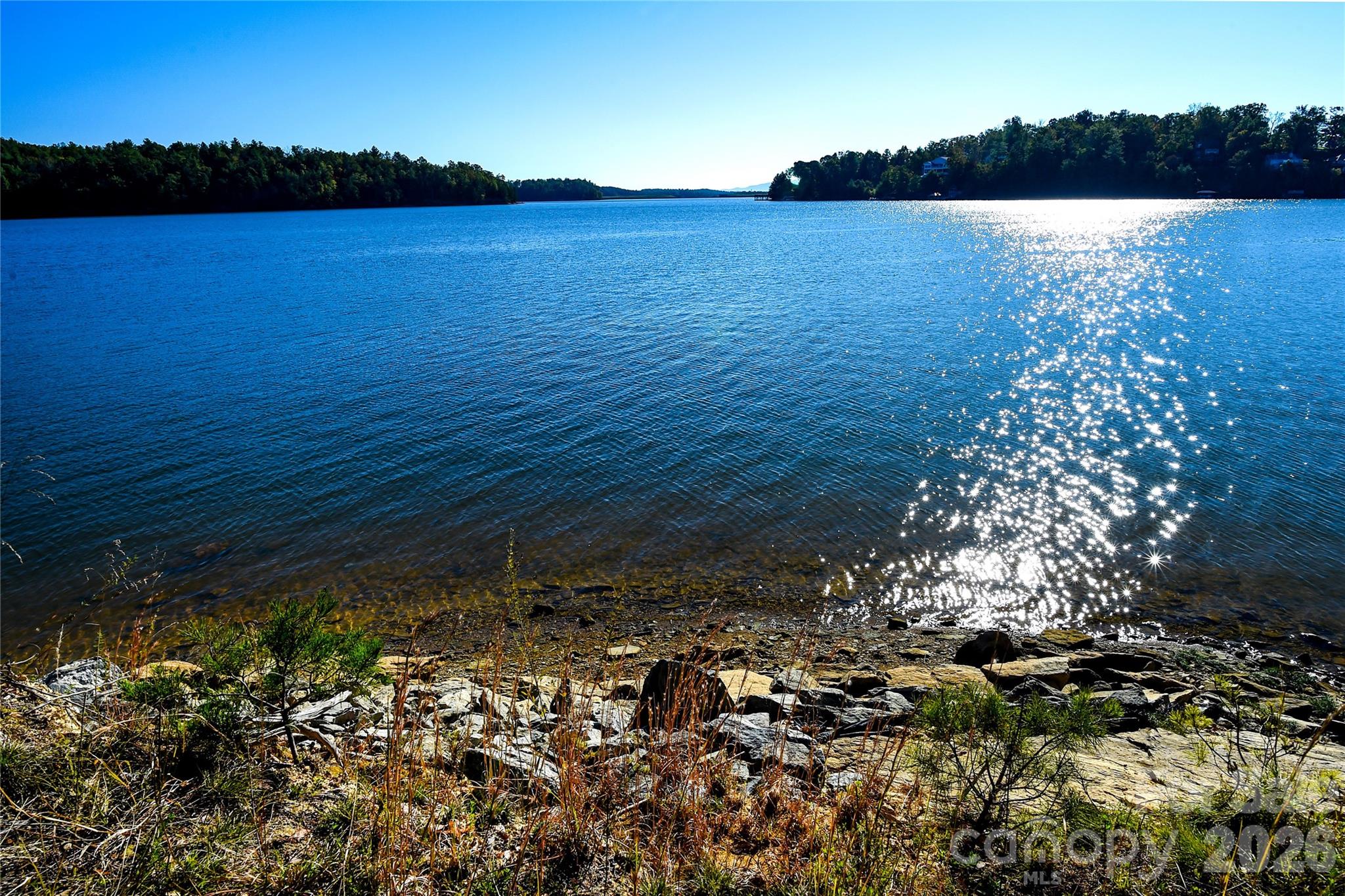 Old Wildlife Club - Land