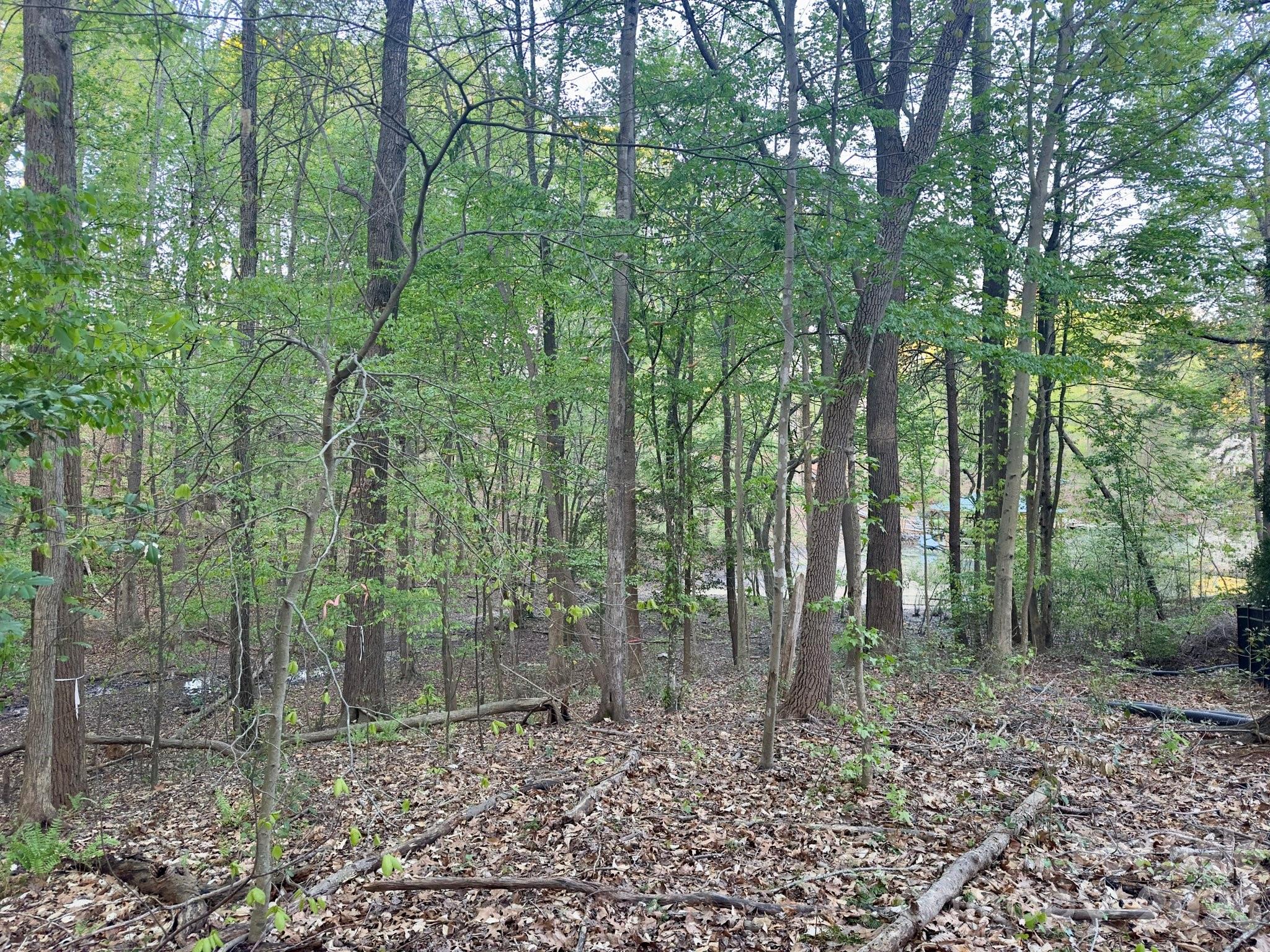 Lakewood - Land