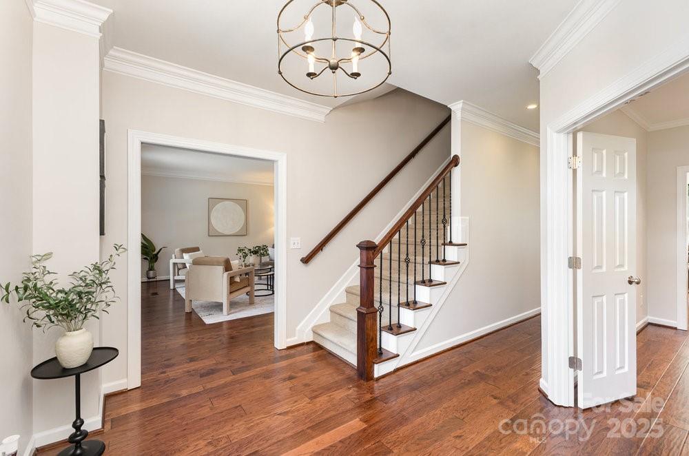 205 Rosedale Lane