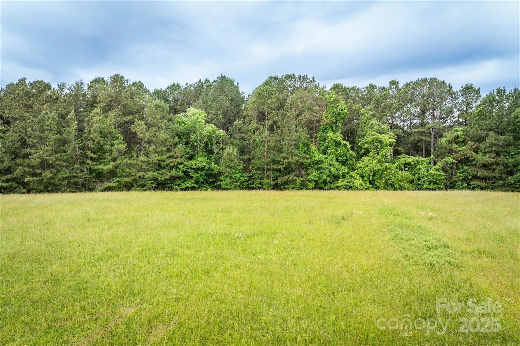 161 Windy Knoll