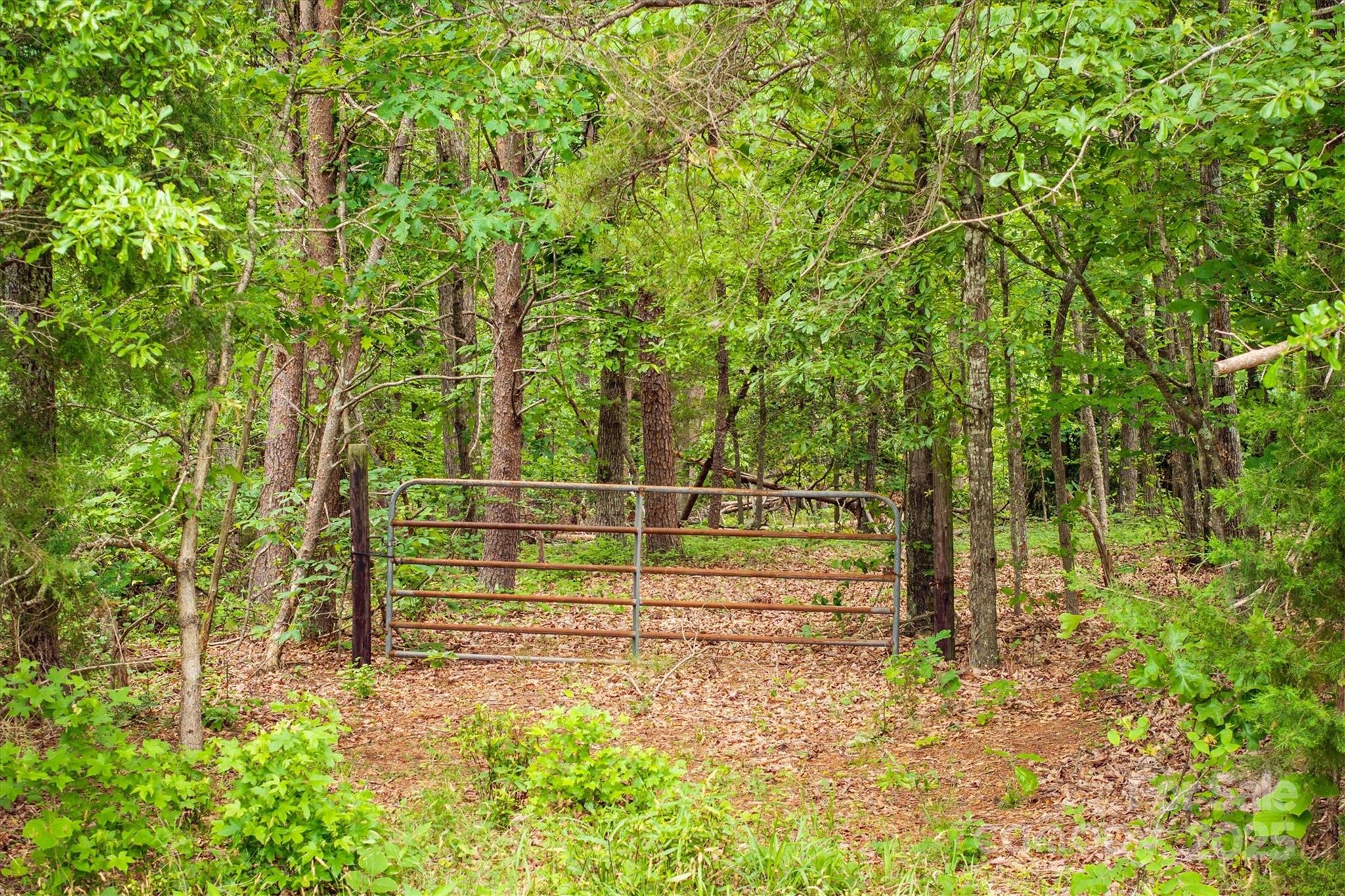 161 Windy Knoll