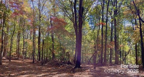 Photo of Lot 6 Flint Ridge Road #6, Albemarle, NC 28001 (MLS # 4309083) Photo of Lot 6 Flint Ridge Road #6, Albemarle, NC 28001 (MLS # 4309083)