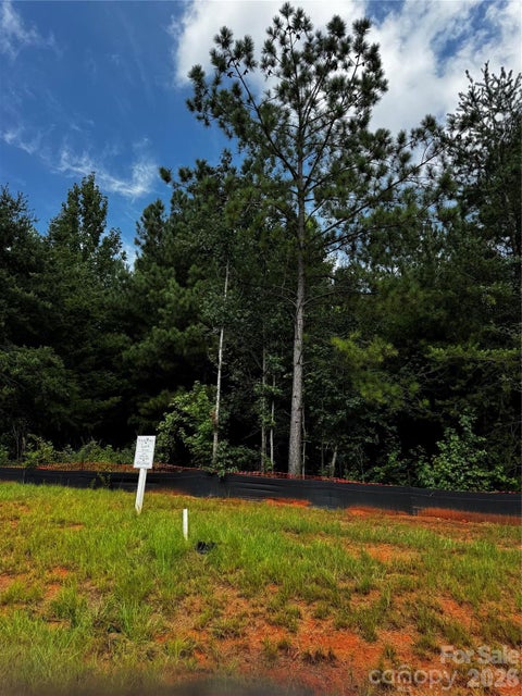 Photo of 7443 Kates Grove Way, Huntersville, NC 28078 (MLS # 4427306)