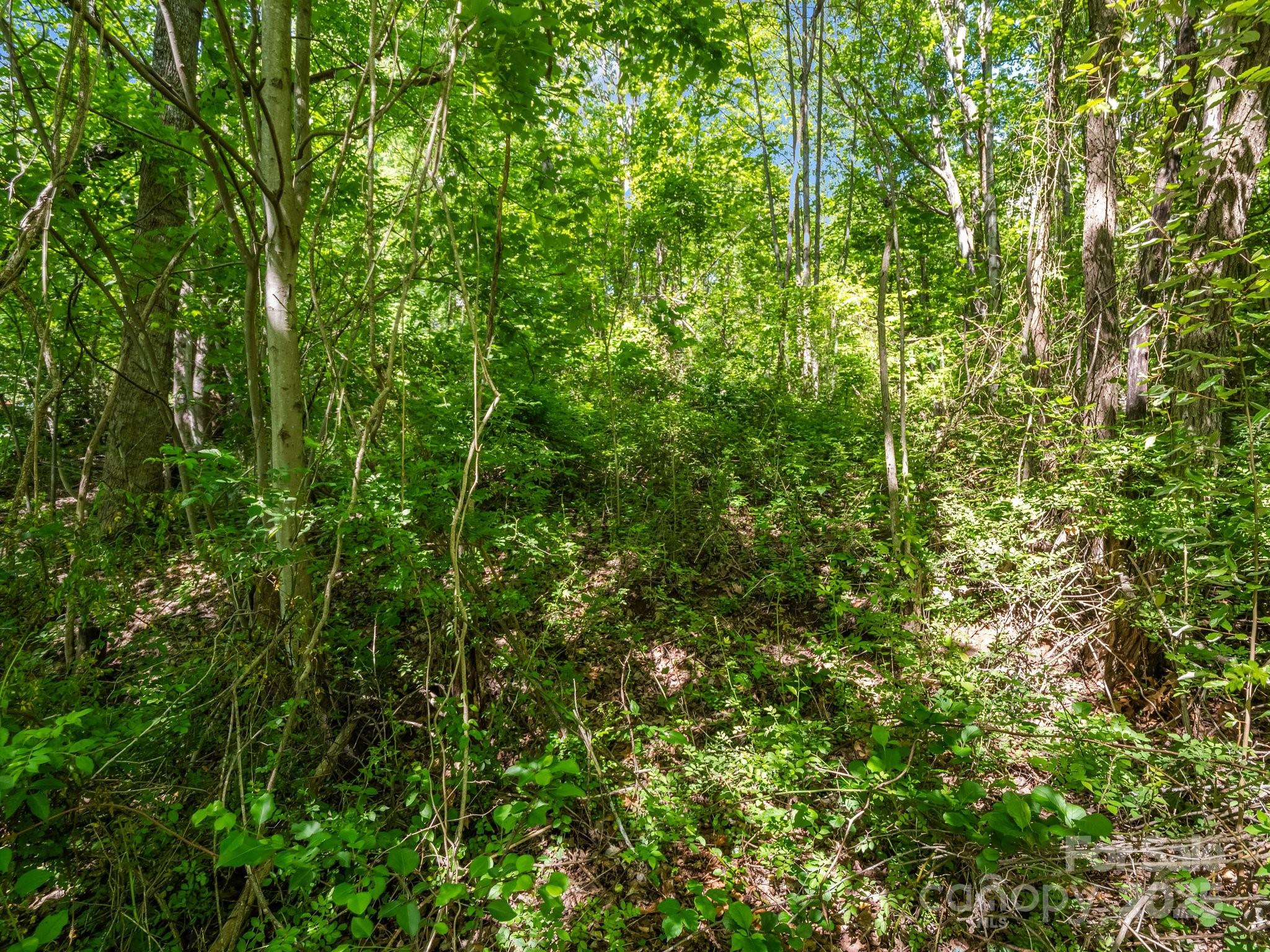 Greater Druid Hills - Land