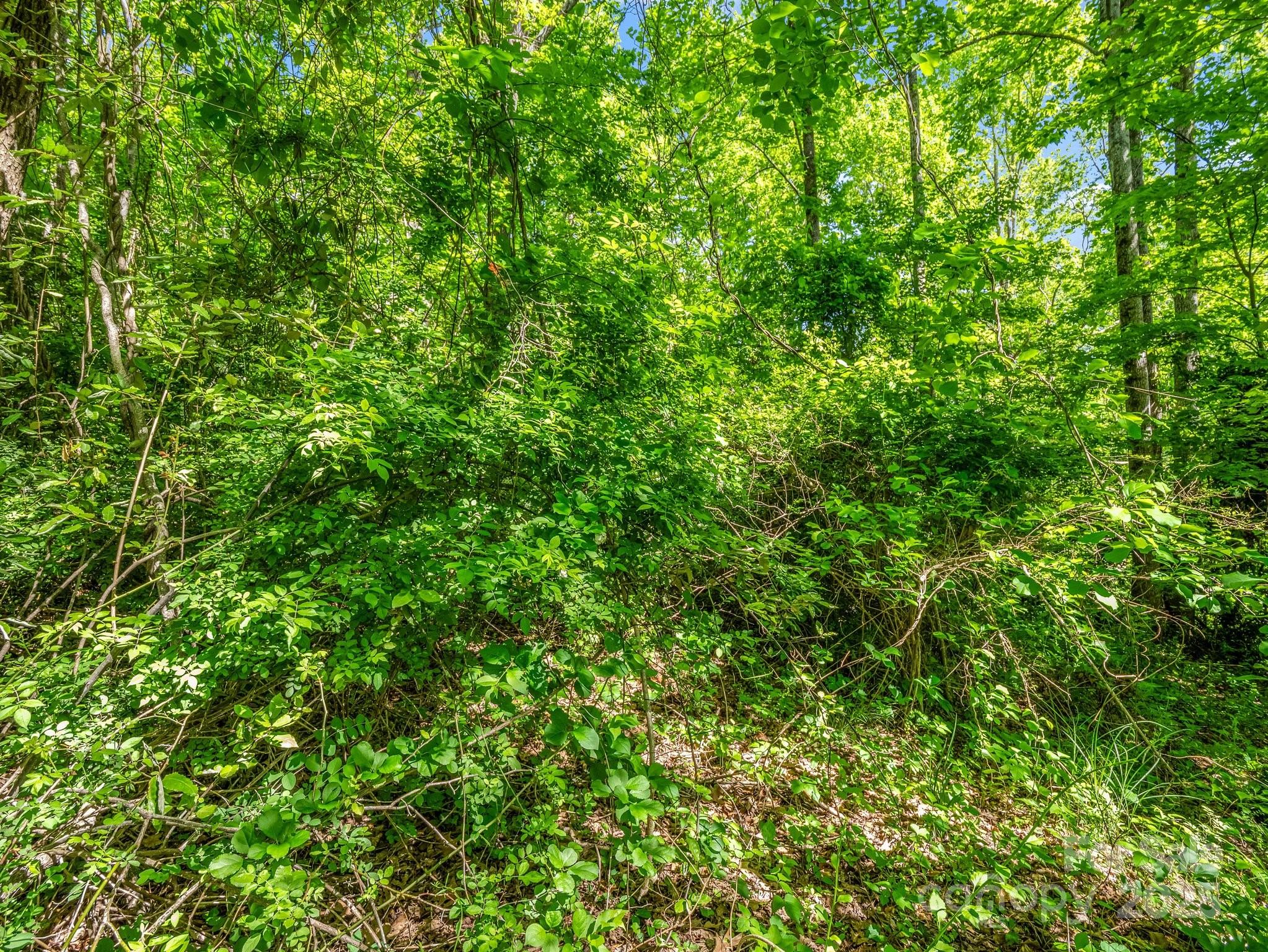 Greater Druid Hills - Land