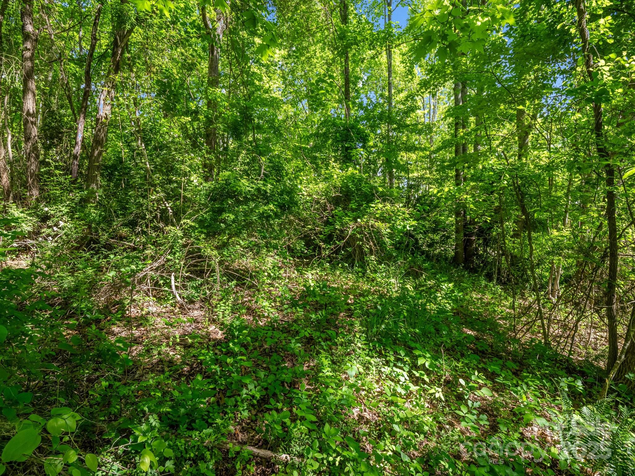 Greater Druid Hills - Land