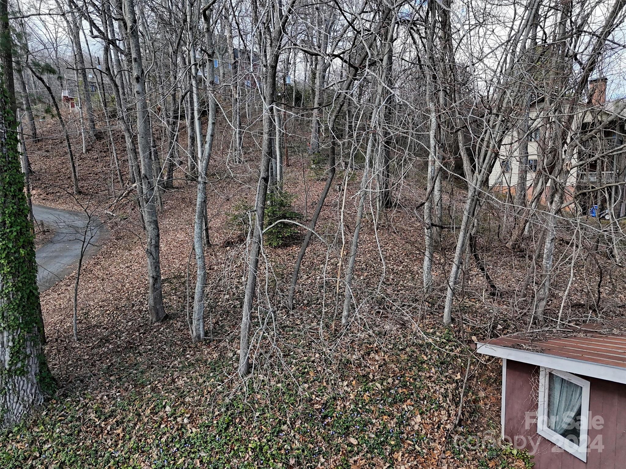 Lake Junaluska Assembly - Land