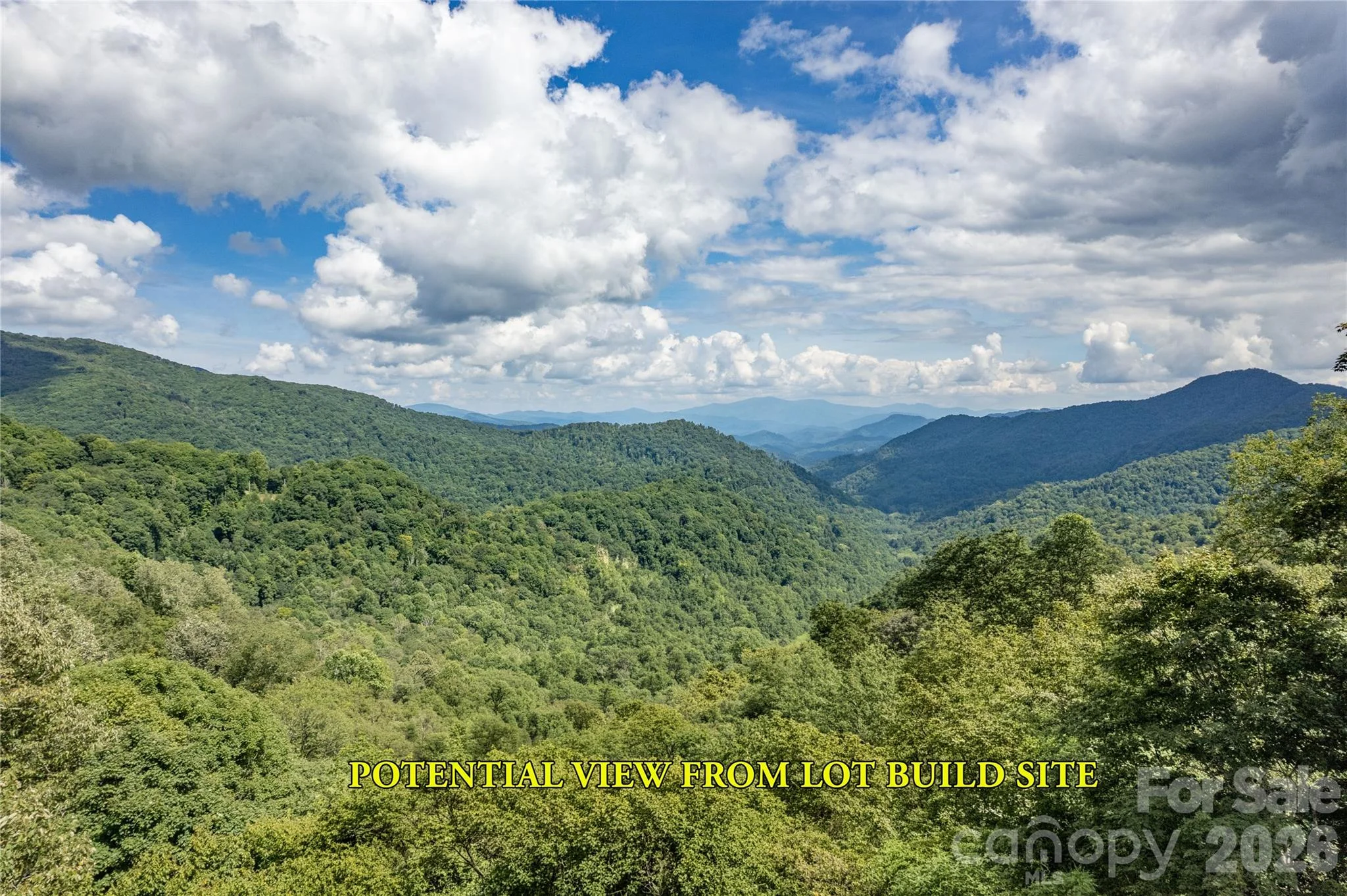 92 Goldenleaf Road, Mars Hill, NC, 28754