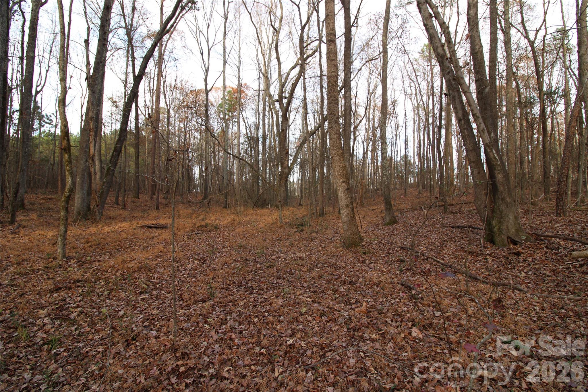3+/-AC Lot 4 Pioneer Road