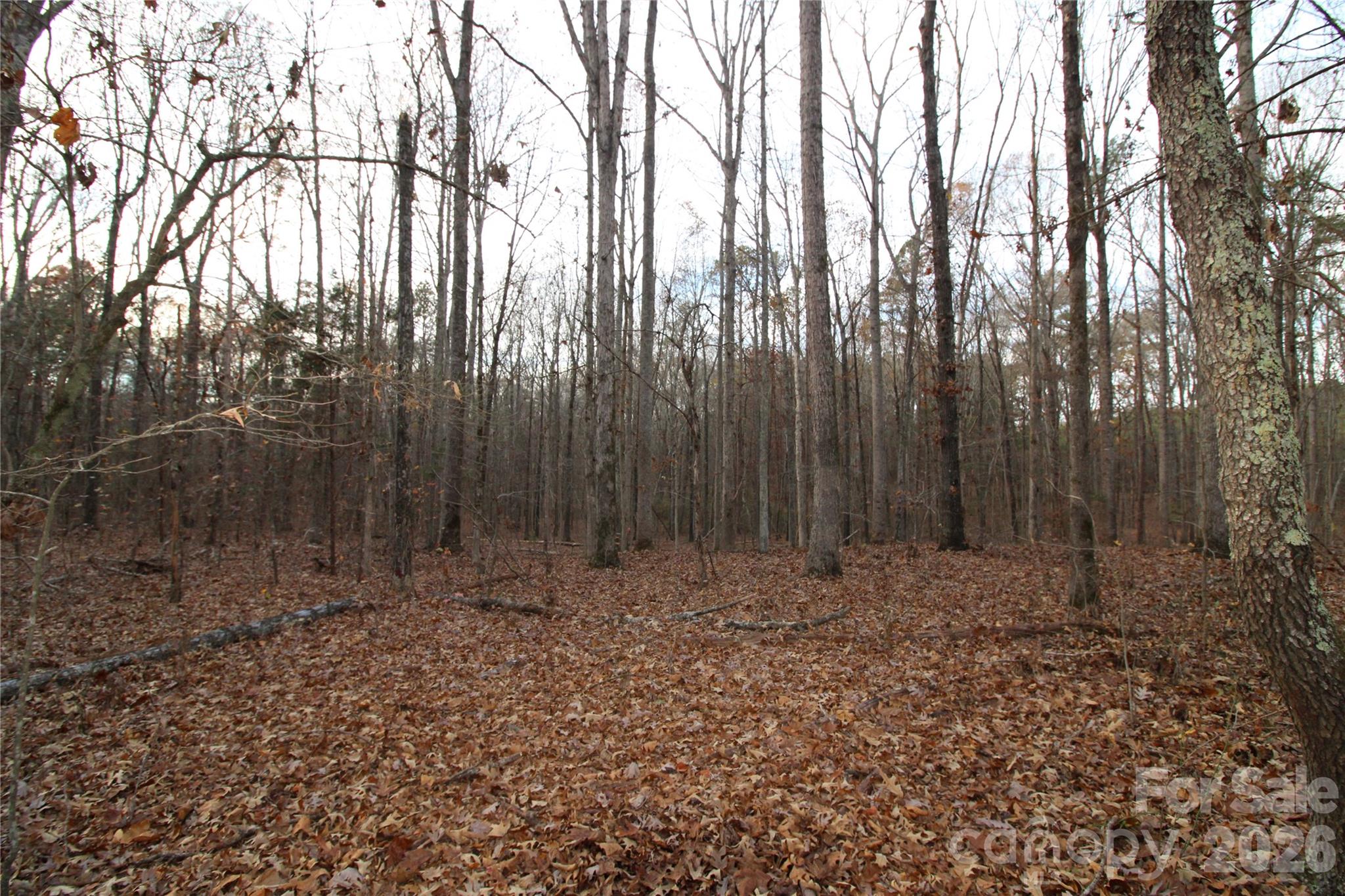 3+/-AC Lot 4 Pioneer Road