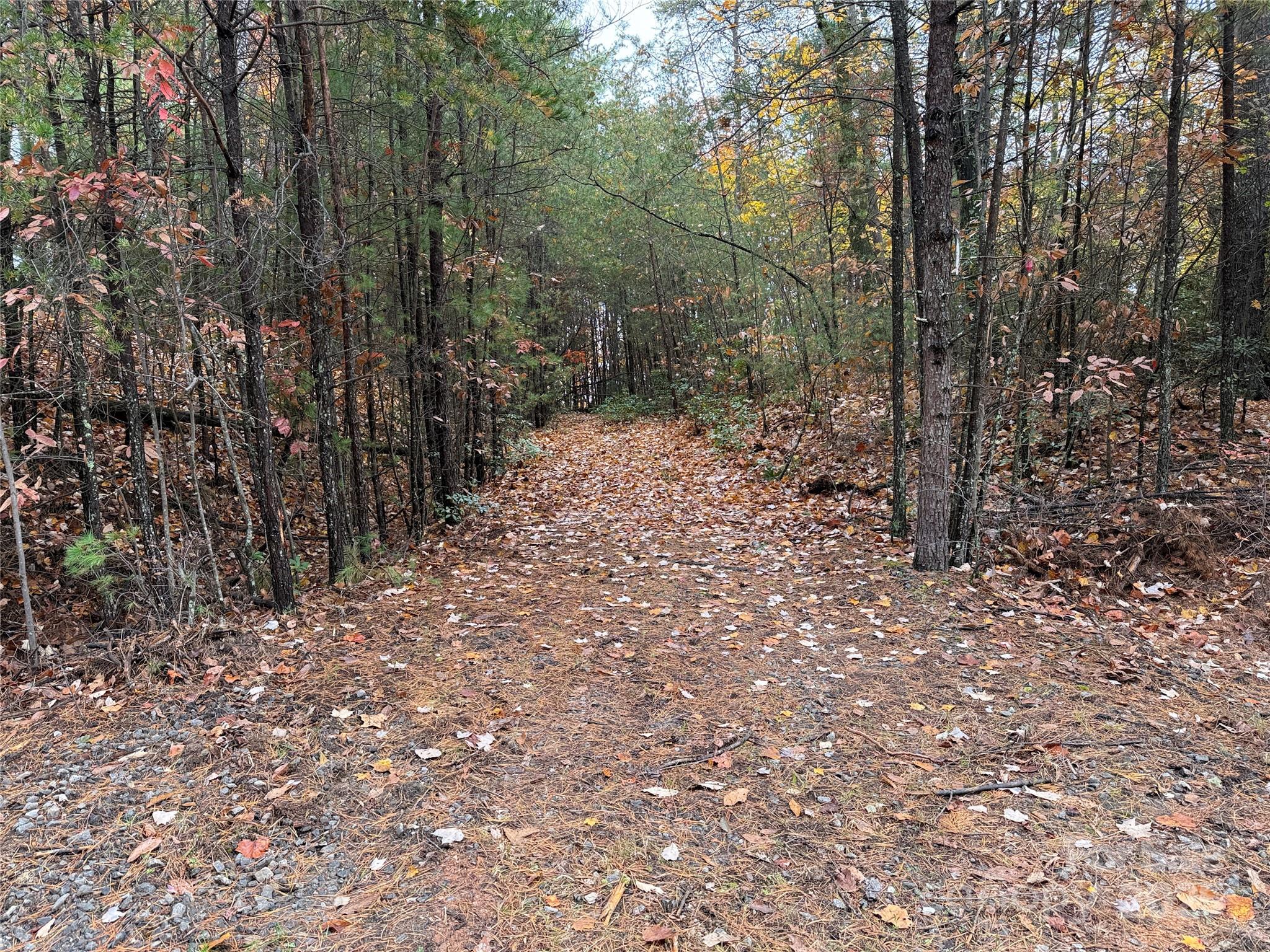 TBD Wolf Pen Road 18