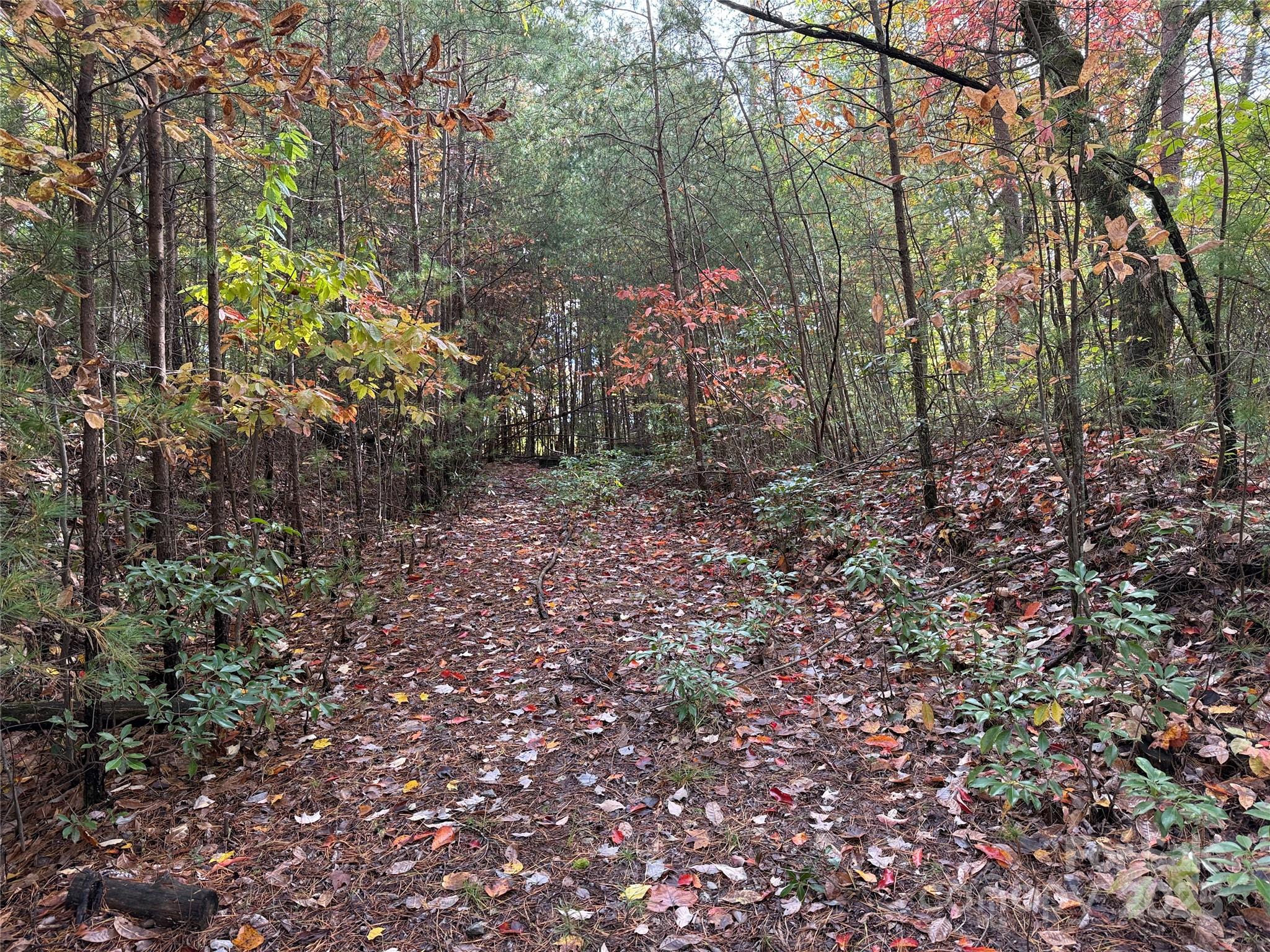 TBD Wolf Pen Road 18