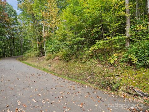 Lot 23 Finlaystone Trace Waynesville NC 28786