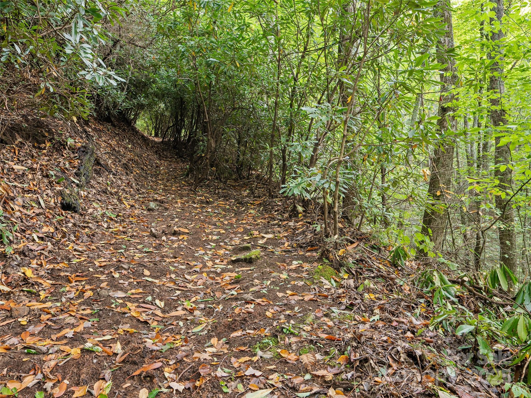 Lot 23 Finlaystone Trace