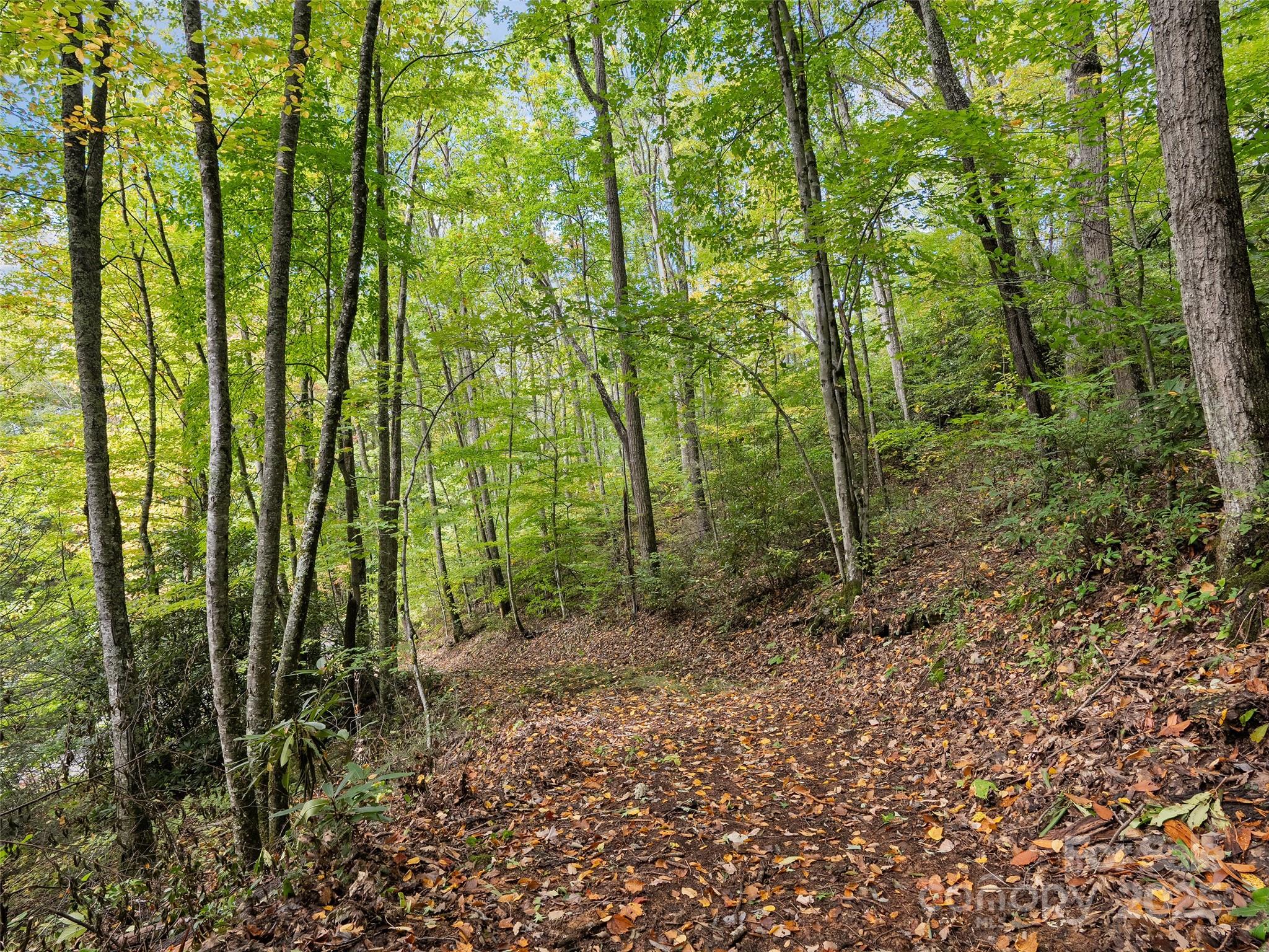 Lot 23 Finlaystone Trace