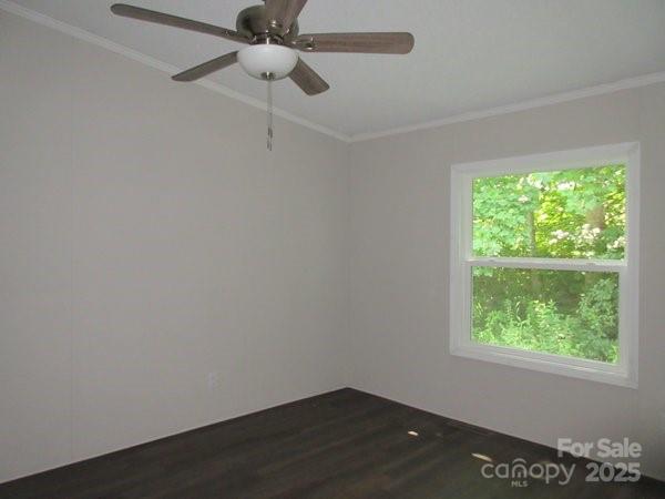 123 Josiah Lane