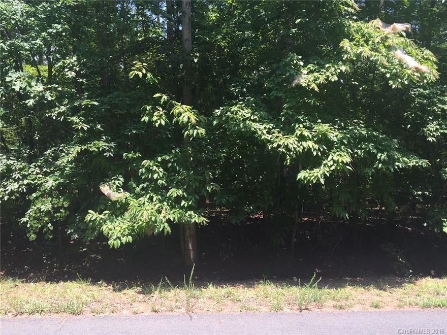 ABSOLUTELY GORGEOUS 2.26 ACRE LOT IN WEDDINGTON! LOCATED IN DESIRABLE WELLINGTON WOODS, THIS IS A PERFECT SPOT TO BUILD YOUR DREAM HOME. EXCELLENT TOPOGRAPHY WITH A COMBINATION OF PINES AND HARDWOODS. HOA ALLOWS ONE HORSE PER ACRE SO BRING YOUR HORSES!
