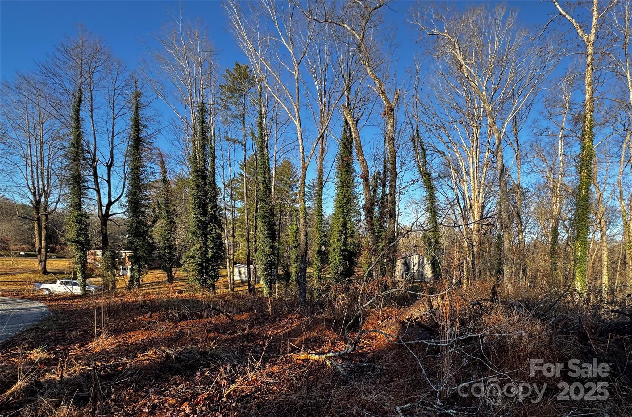 North Rugby Hills - Land