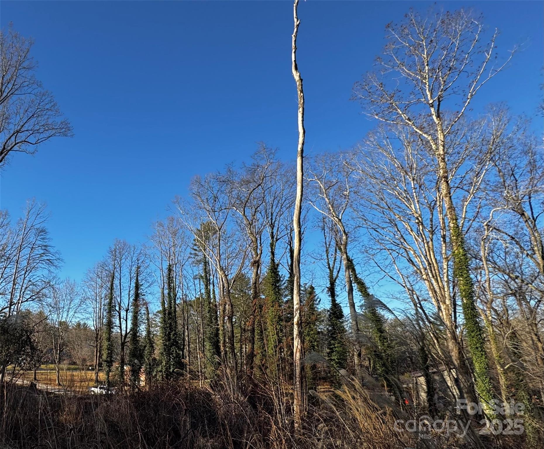 North Rugby Hills - Land