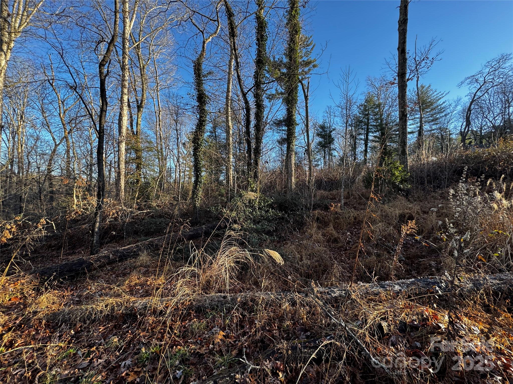 North Rugby Hills - Land