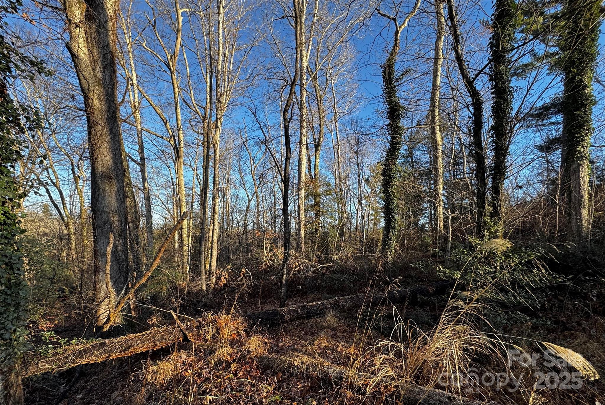 North Rugby Hills - Land