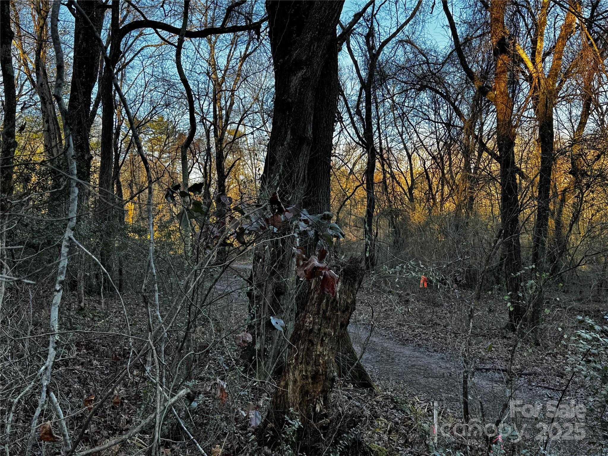 North Rugby Hills - Land