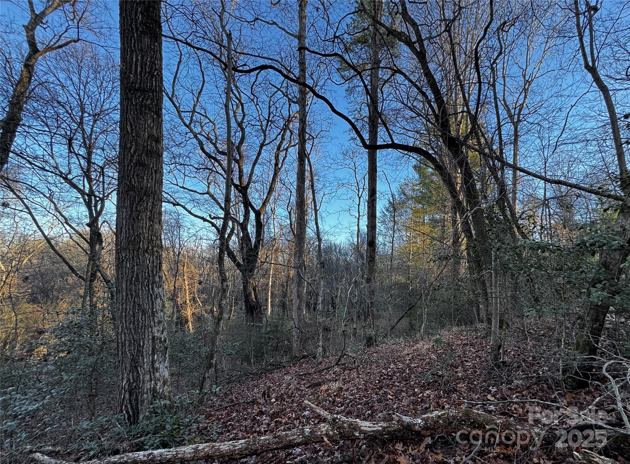 North Rugby Hills - Land