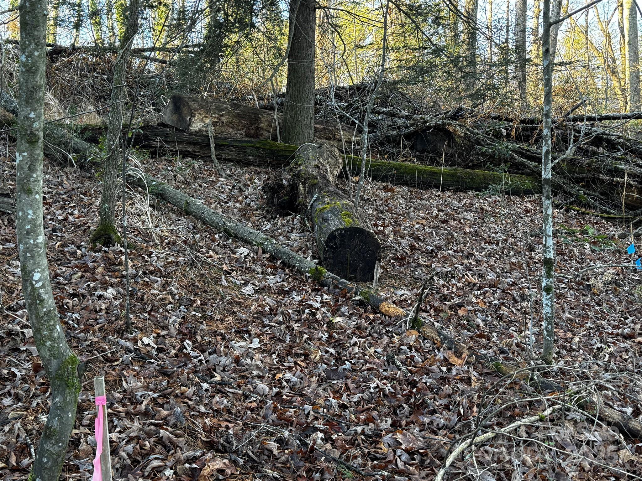 North Rugby Hills - Land