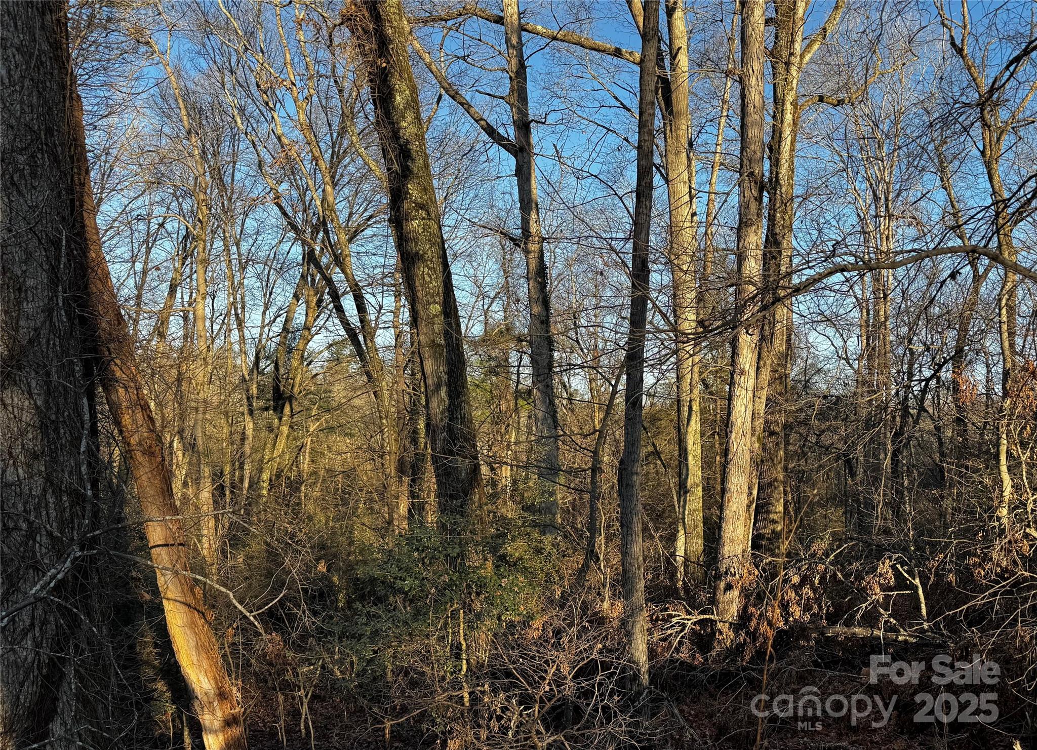 North Rugby Hills - Land