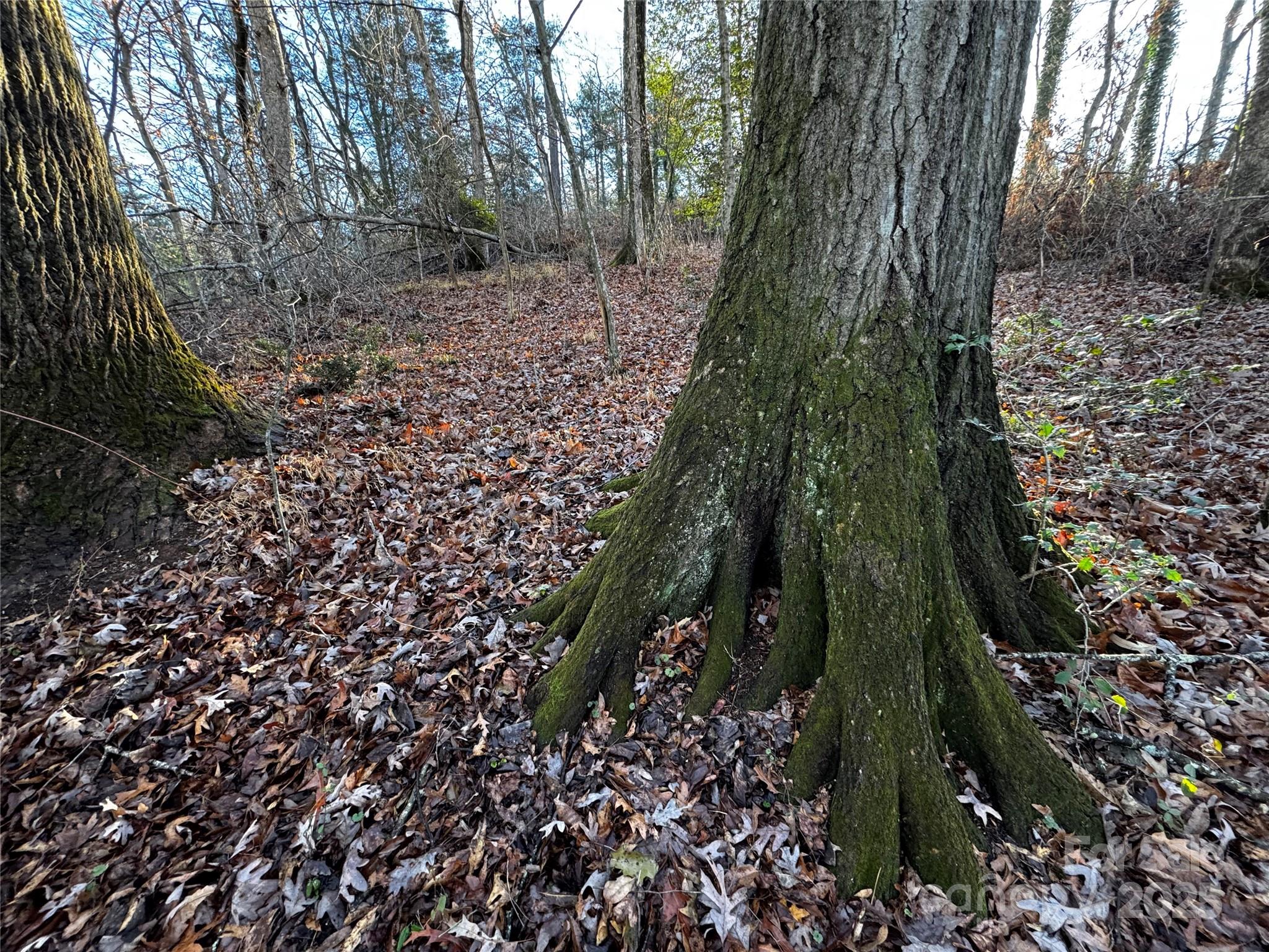 North Rugby Hills - Land