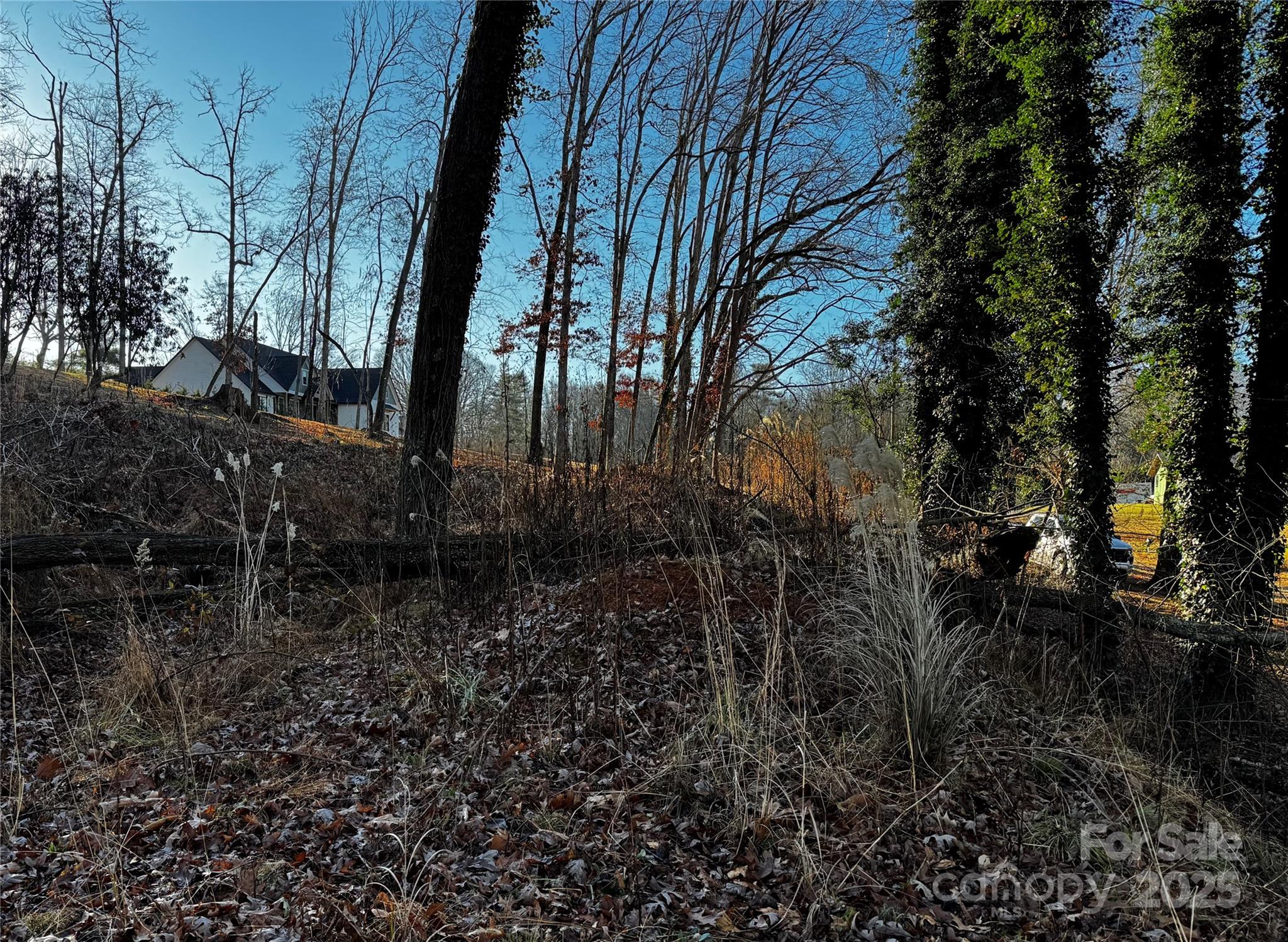 North Rugby Hills - Land