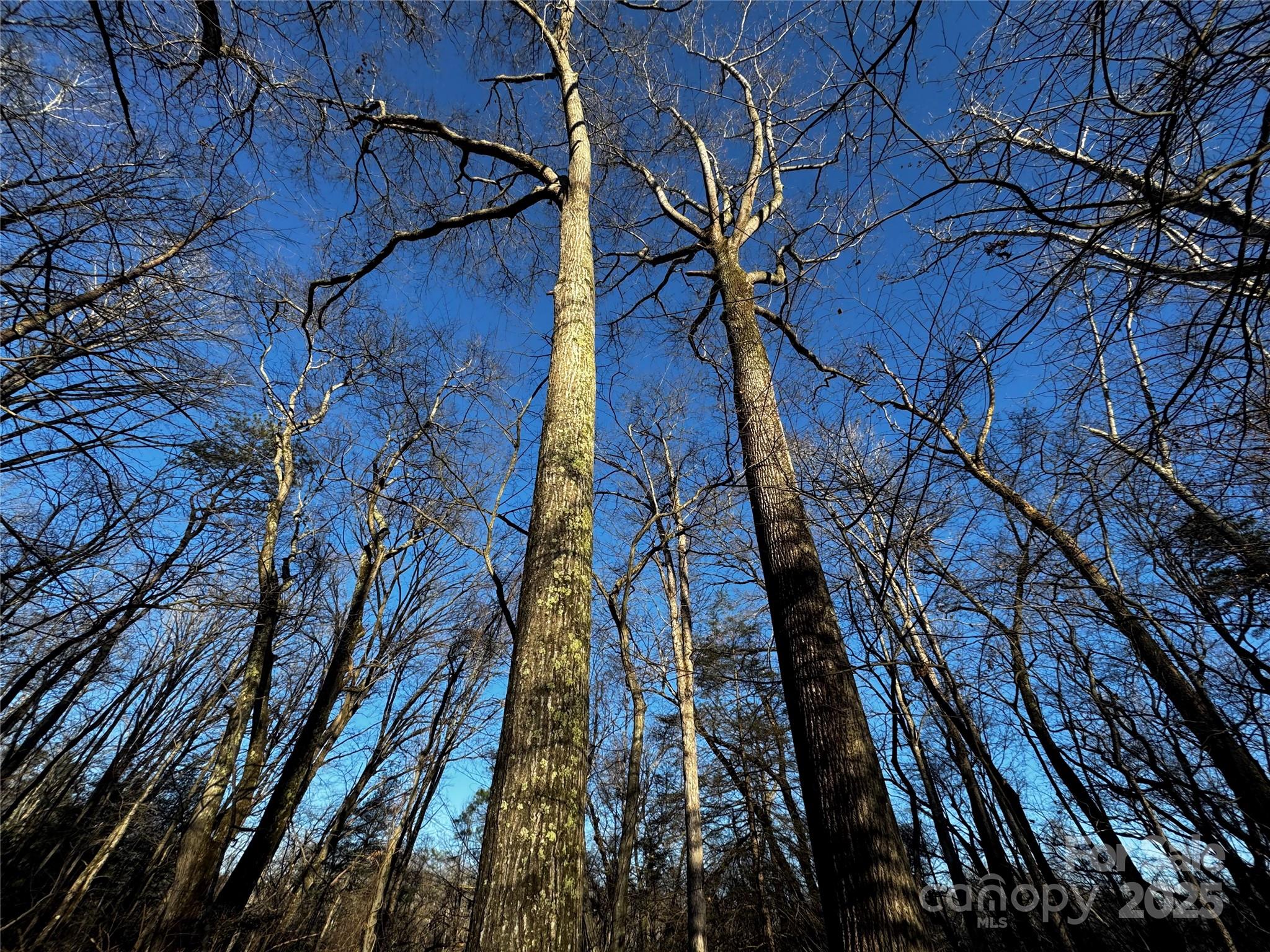North Rugby Hills - Land
