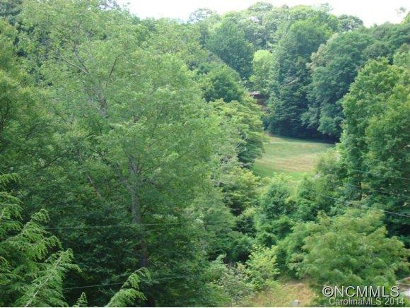 Wolf Laurel - Residential